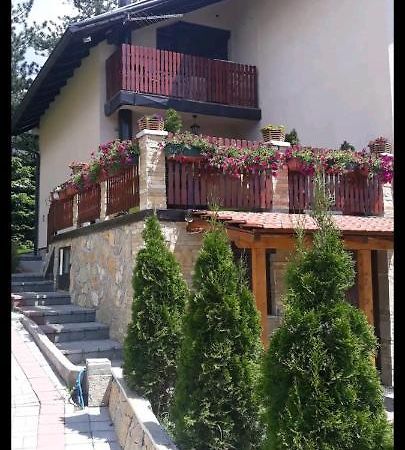 Apartment Niva Zlatibor Exteriér fotografie