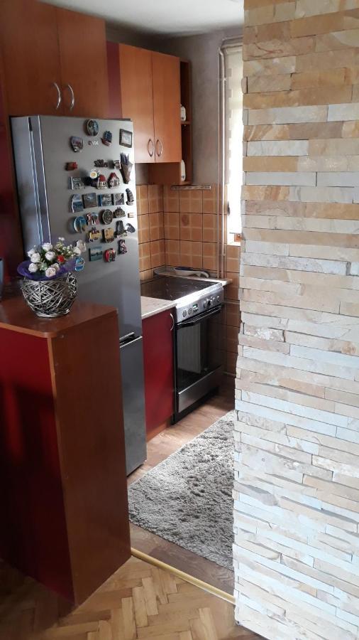 Apartment Niva Zlatibor Exteriér fotografie