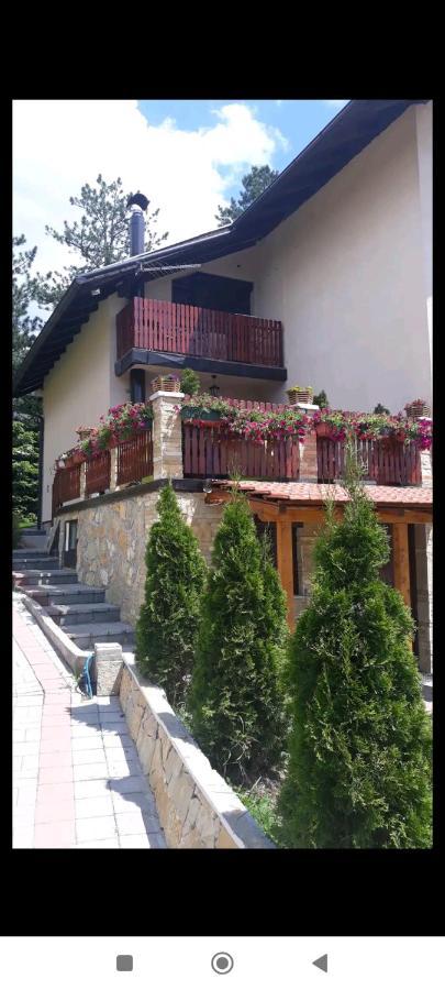 Apartment Niva Zlatibor Exteriér fotografie